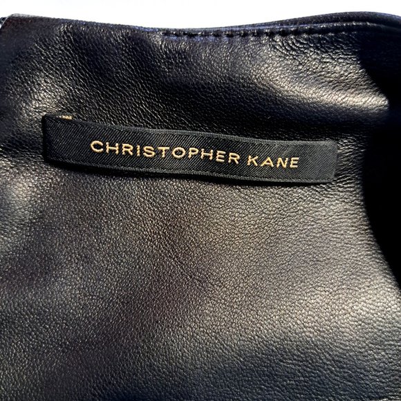 CHRISTOPHER KANE Celestial Combo dress Sz 12 or ~M-L SILK & LEATHER Connoisseurs - Picture 9 of 13